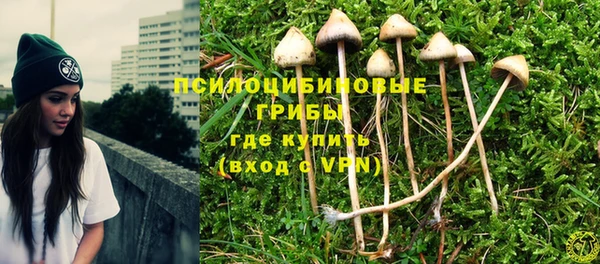 бошки Богданович